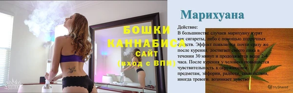 мдпв Володарск