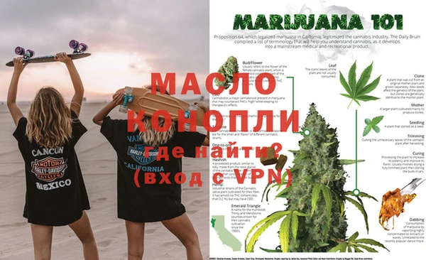 соль ск Вяземский