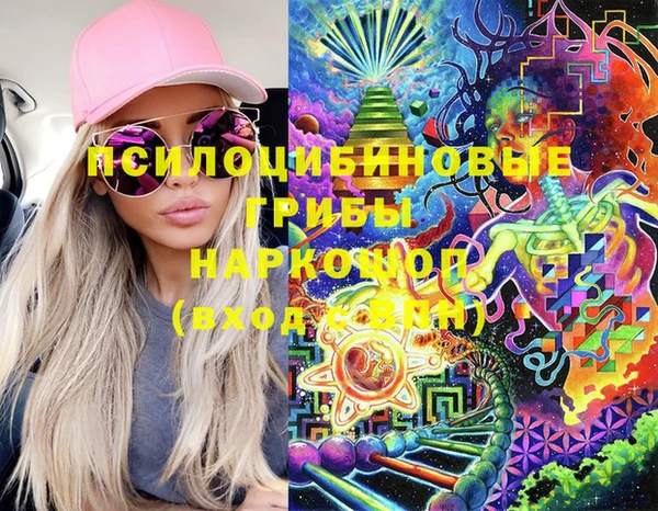 СК Вязники