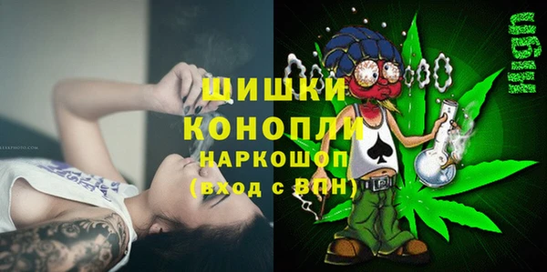 мдпв Володарск