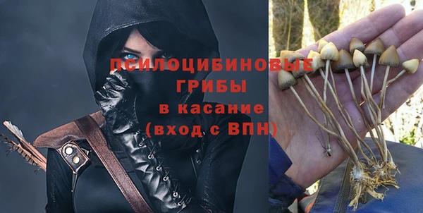 гидра Волоколамск