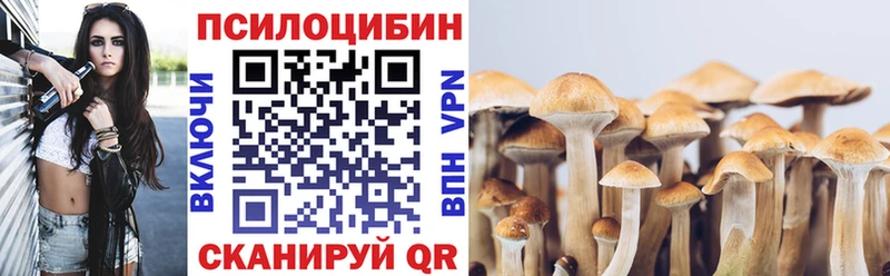 Псилоцибиновые грибы Cubensis  где купить наркоту  Людиново 