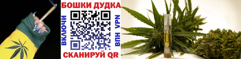 Бошки Шишки SATIVA & INDICA  МЕГА онион  Людиново  закладки 